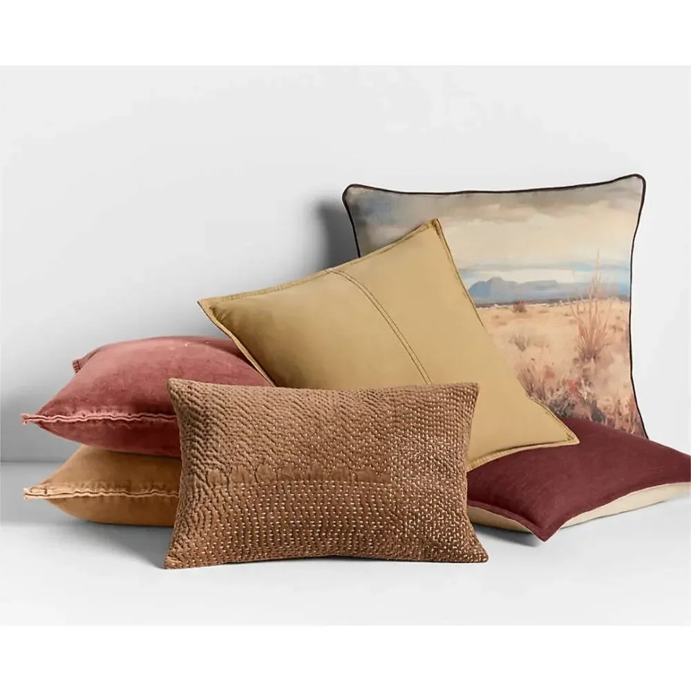 CRATE & BARREL MOJAVE 23X23 DECORATIVE PILLOWS SET OF TWO